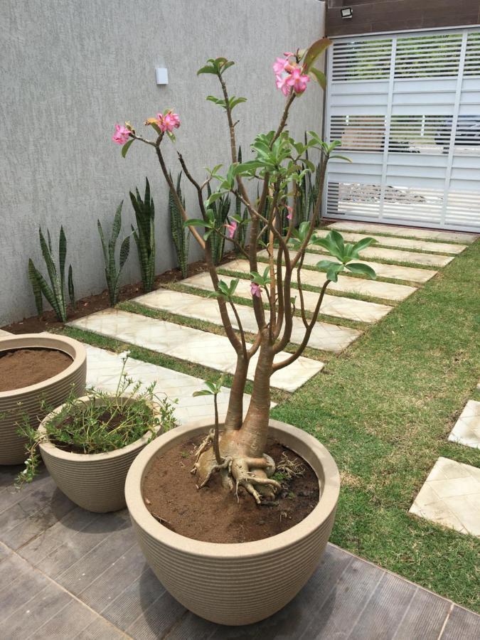 Casa De Praia Tamandaré Eksteriør bilde